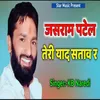 About Jasaram Patel Teri Yad Satav Ra Song